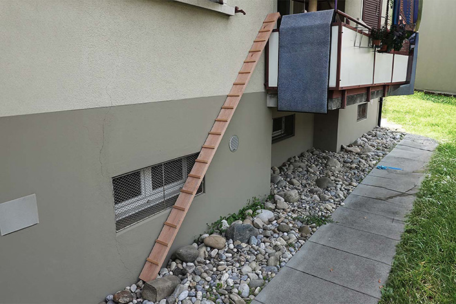 hermann-liegenschaftsdienst Katzentreppe